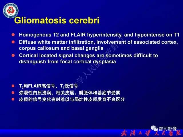 【PPT】皮层异常信号病变MRI诊断