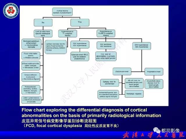 【PPT】皮层异常信号病变MRI诊断
