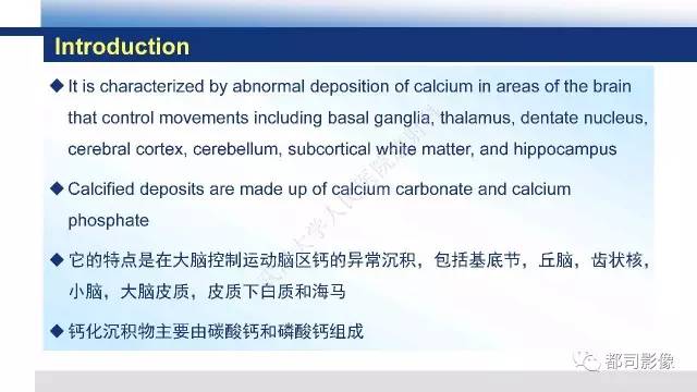 【PPT】Fahr's综合征