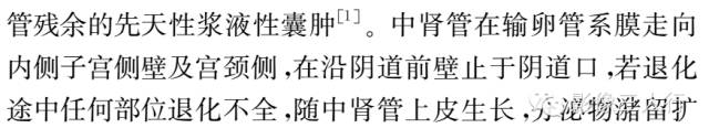 【病例】腹膜后巨大中肾源性囊肿1例