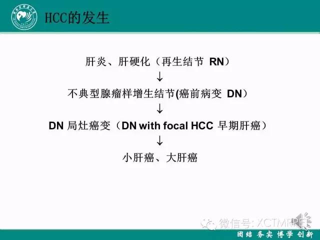【PPT】HCC的早期诊断及CDT技术的应用