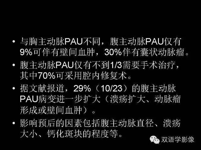 【PPT】MDCT评价腹主动脉瘤不稳定性