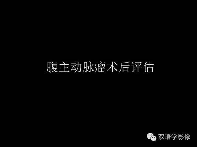 【PPT】MDCT评价腹主动脉瘤不稳定性