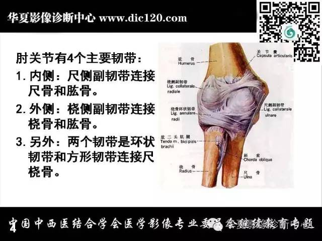【PPT】肘关节疾病磁共振诊断