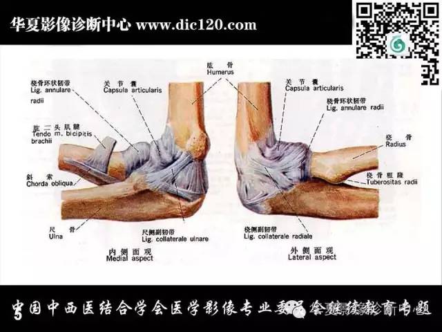 【PPT】肘关节疾病磁共振诊断