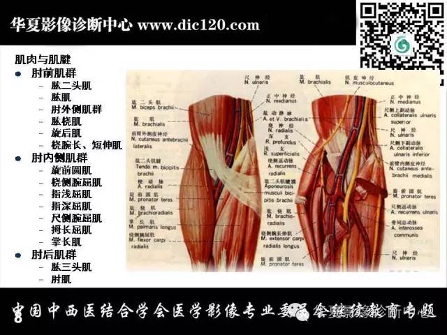 【PPT】肘关节疾病磁共振诊断