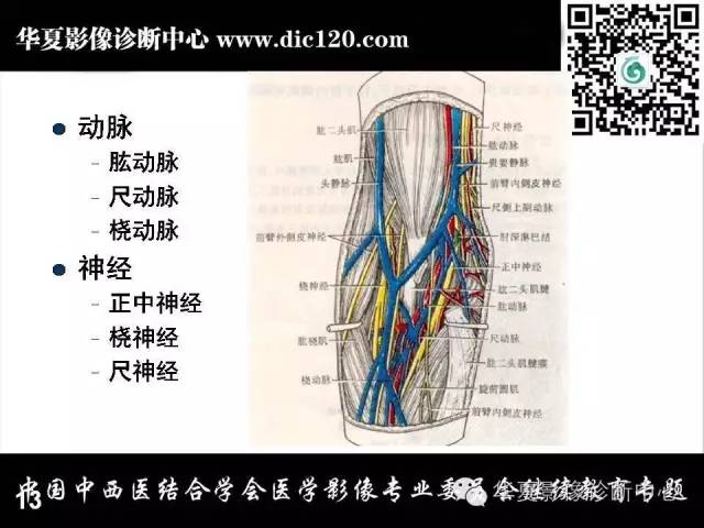 【PPT】肘关节疾病磁共振诊断