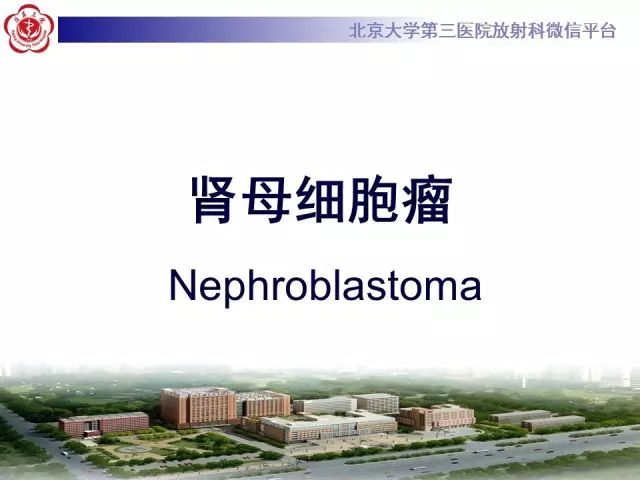 【病例】肾母细胞瘤1例CT影像表现