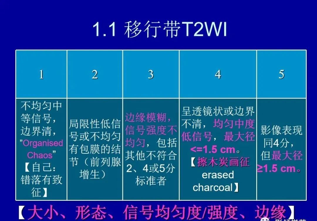 【PPT】前列腺癌MRI诊断再认识-4