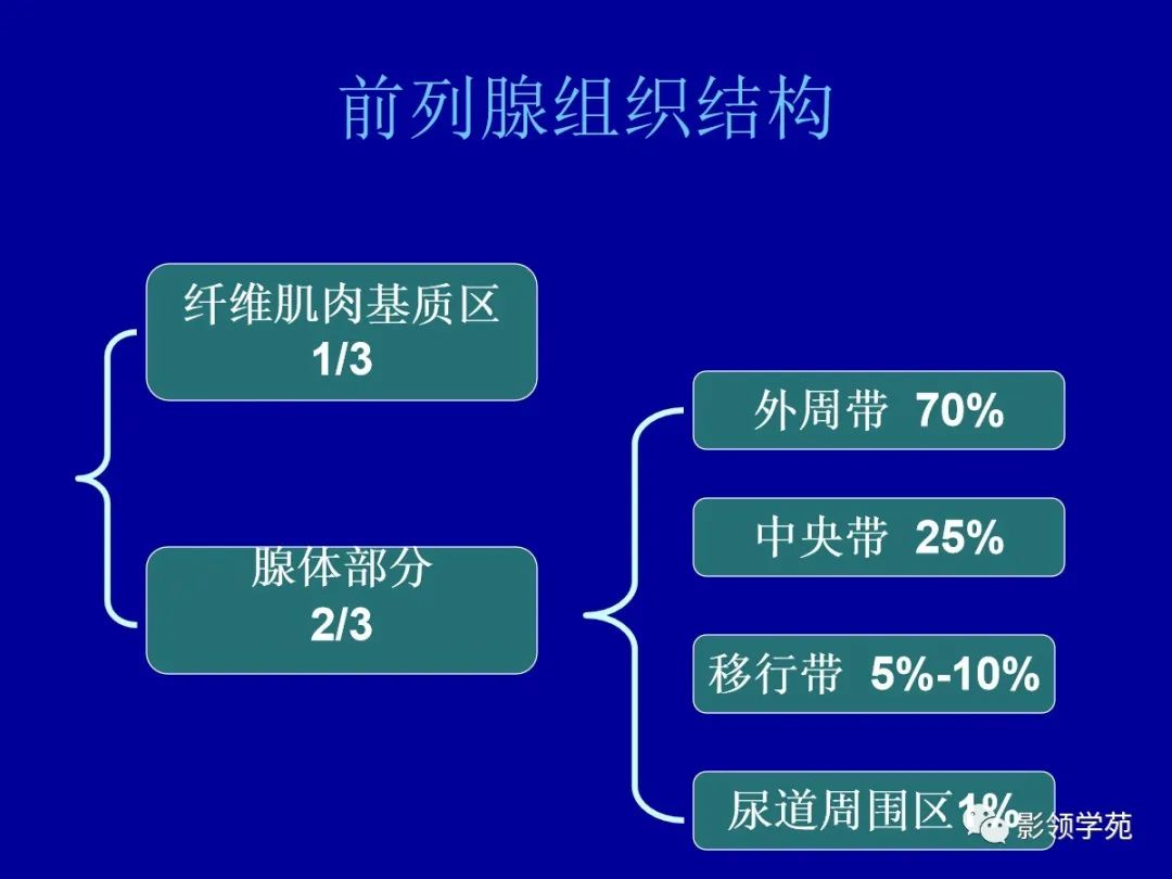 【PPT】前列腺癌MRI诊断再认识-41