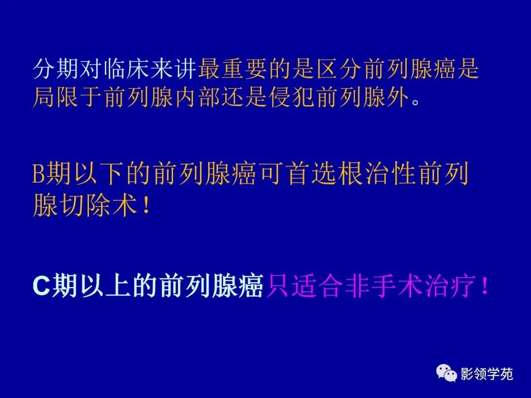 【PPT】前列腺癌MRI诊断再认识-119