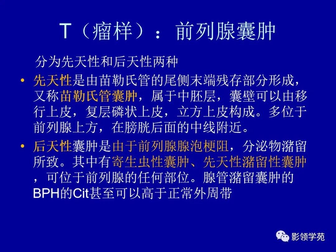 【PPT】前列腺癌MRI诊断再认识-145