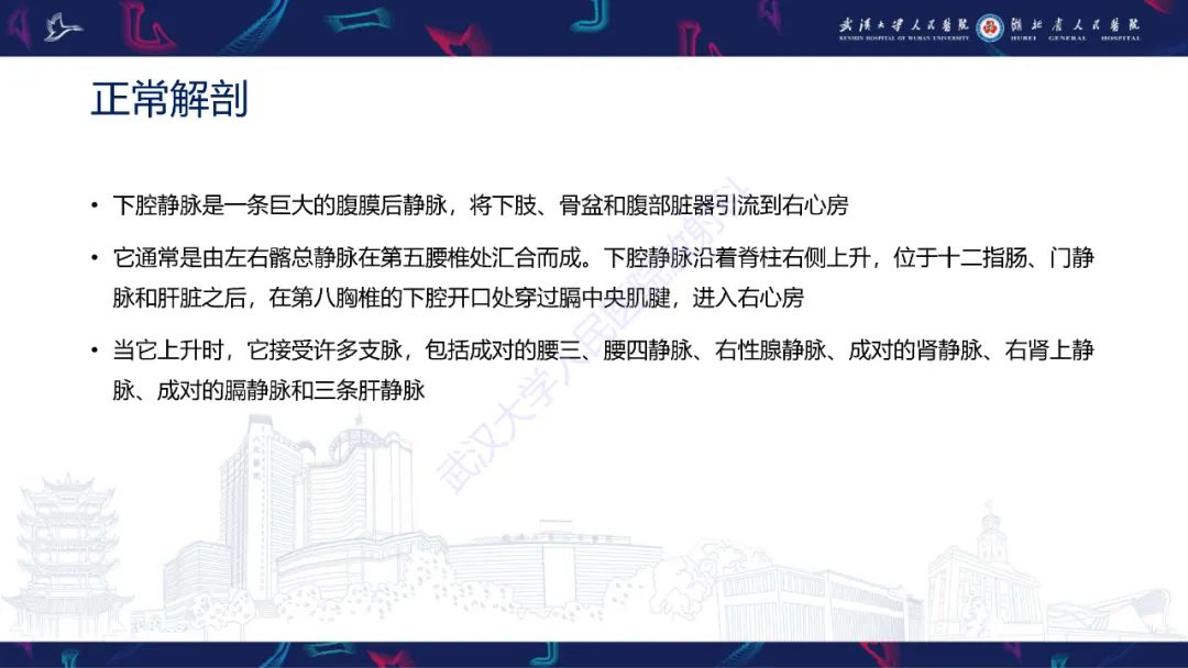 【PPT】下腔静脉解剖变异及病变影像诊断-3