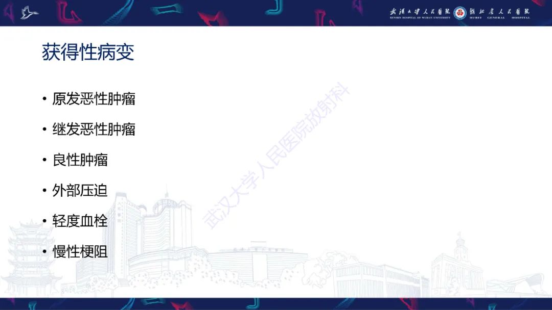 【PPT】下腔静脉解剖变异及病变影像诊断-16