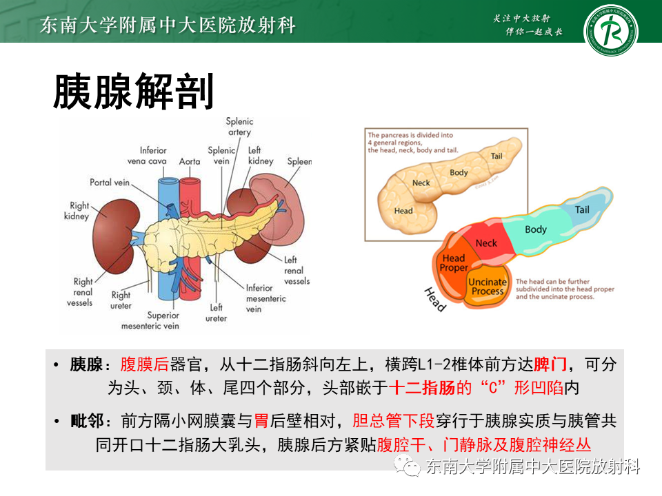 【PPT】胰腺常见囊性病变影像表现-6