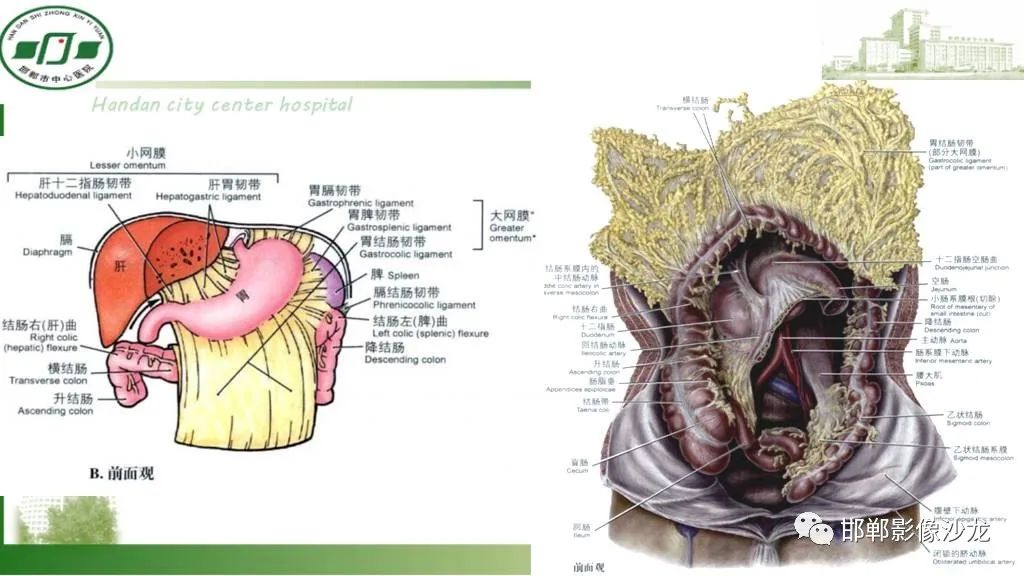 【PPT】硬化性肠系膜炎-10