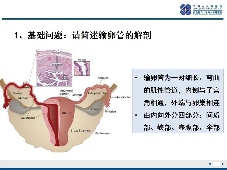 【PPT】原发性输卵管癌-13