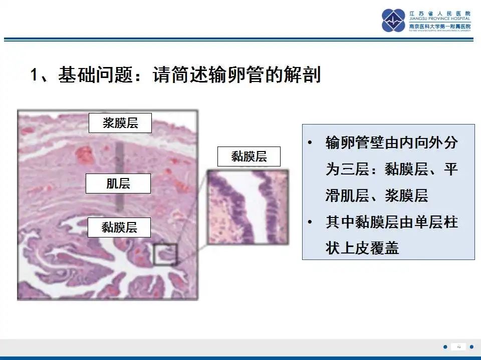 【PPT】原发性输卵管癌-14