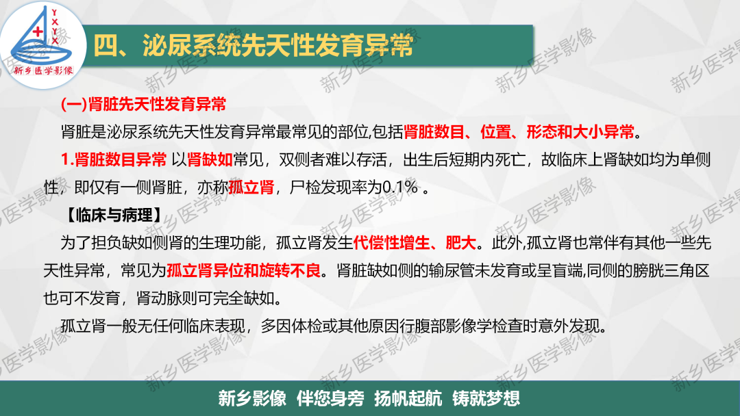 【PPT】泌尿系统先天性发育异常影像表现-3