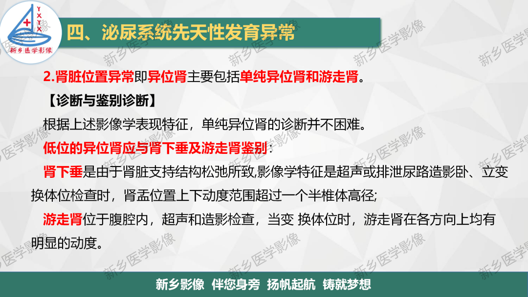 【PPT】泌尿系统先天性发育异常影像表现-10