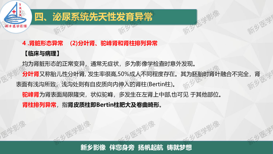 【PPT】泌尿系统先天性发育异常影像表现-19