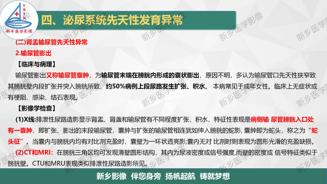 【PPT】泌尿系统先天性发育异常影像表现-26