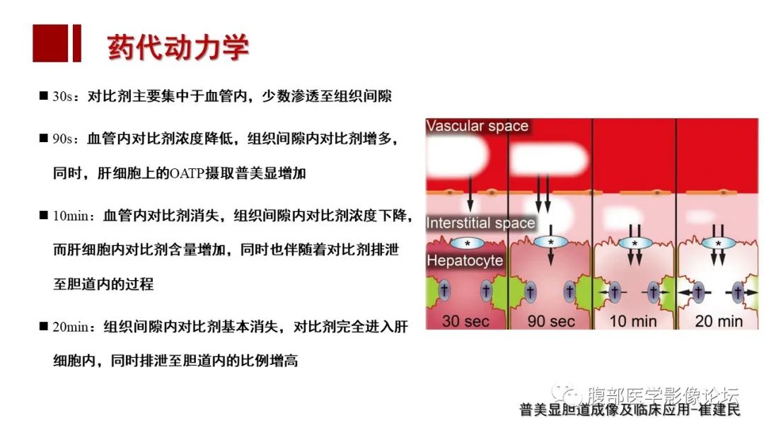 【PPT】肝胆期高信号的病变影像表现及临床意义-8