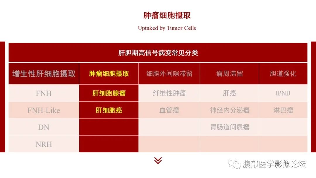 【PPT】肝胆期高信号的病变影像表现及临床意义-33