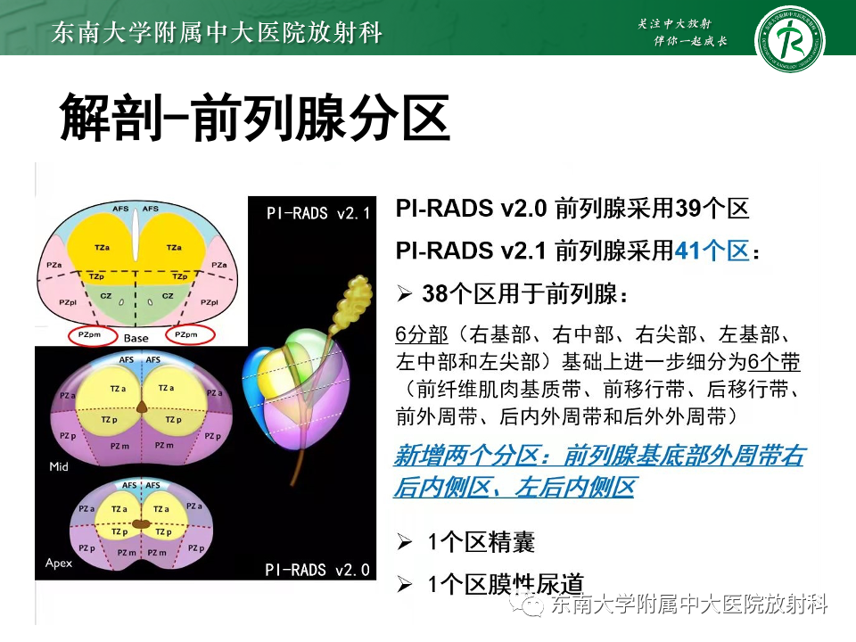 【PPT】前列腺脓肿-6