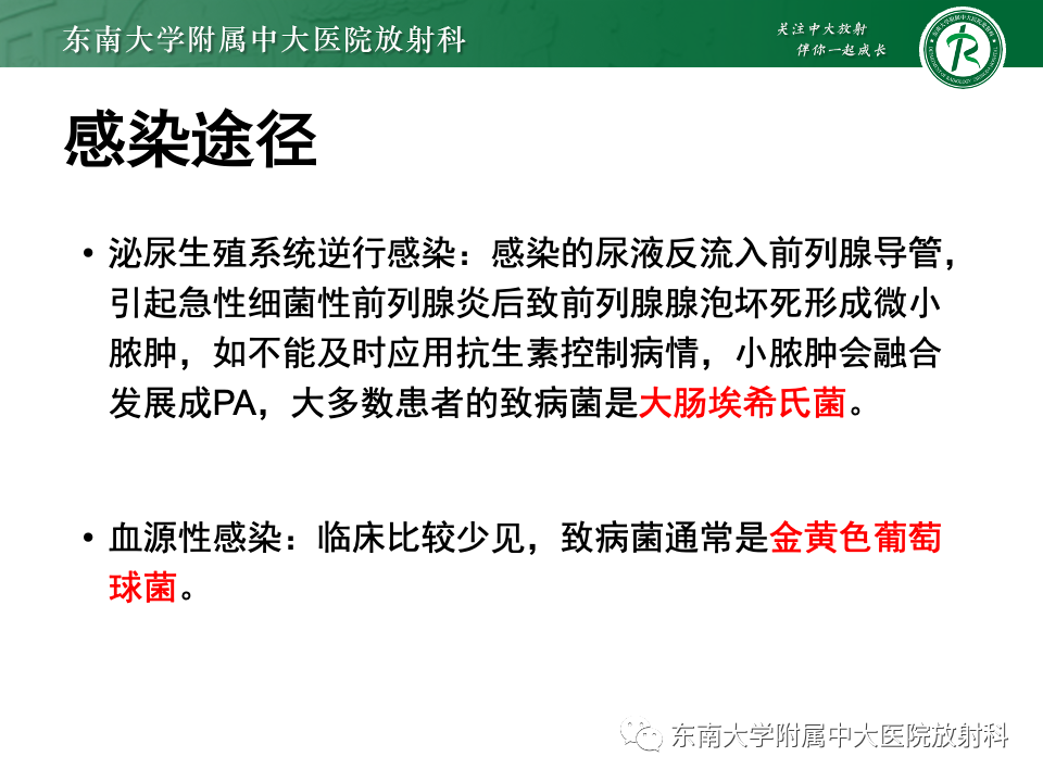 【PPT】前列腺脓肿-12