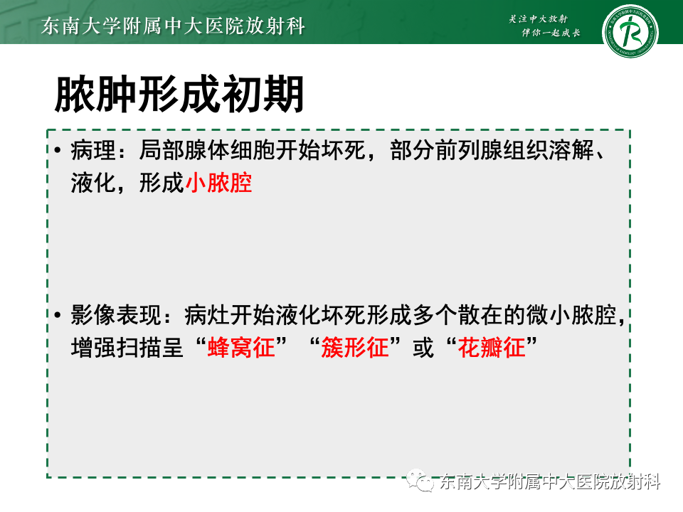 【PPT】前列腺脓肿-14