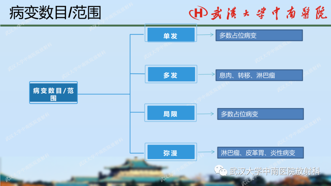 【PPT】胃占位病变影像诊断分析-19