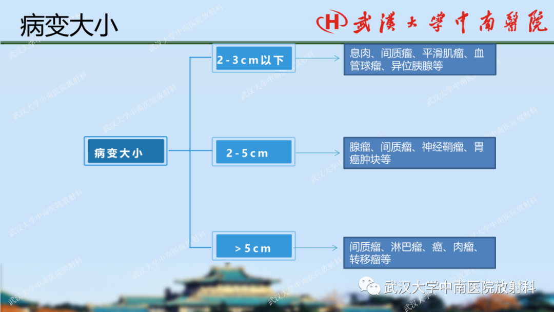 【PPT】胃占位病变影像诊断分析-27
