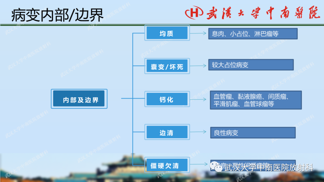 【PPT】胃占位病变影像诊断分析-31
