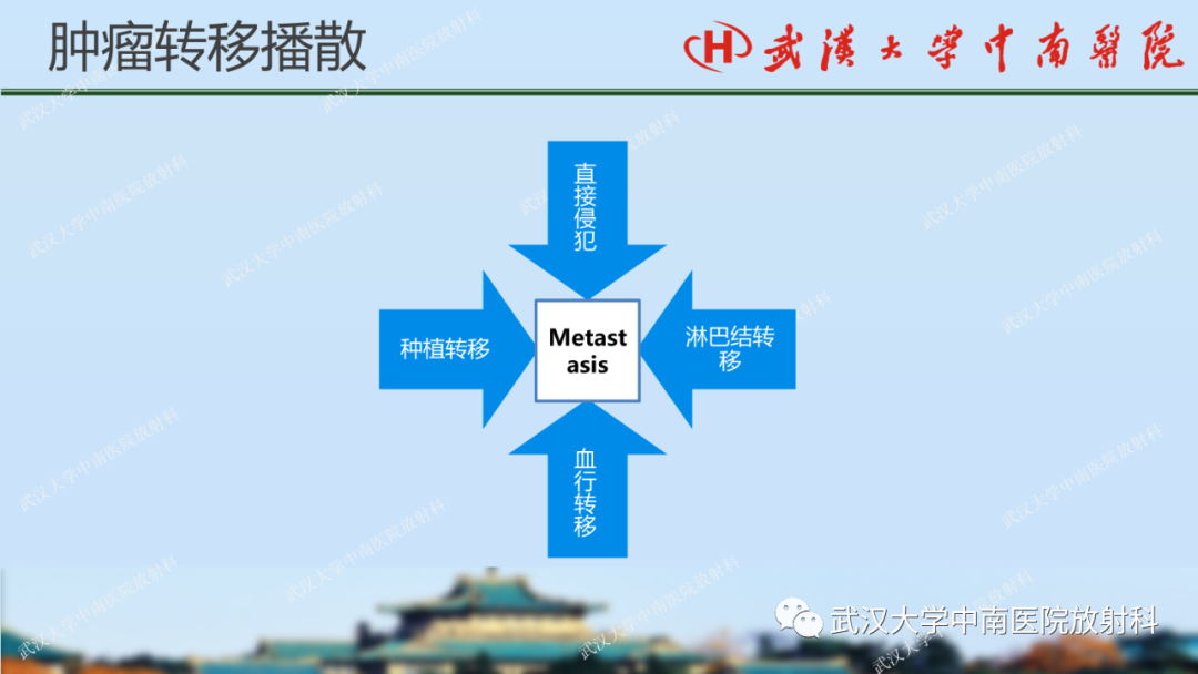 【PPT】胃占位病变影像诊断分析-43