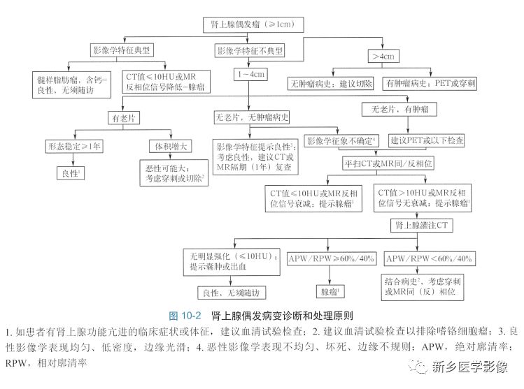 肾上腺腺瘤的CT分析-2