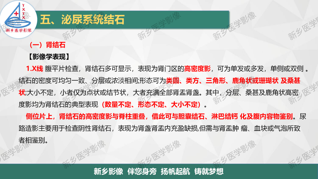 【PPT】泌尿系结石的影像表现及诊断注意事项-2
