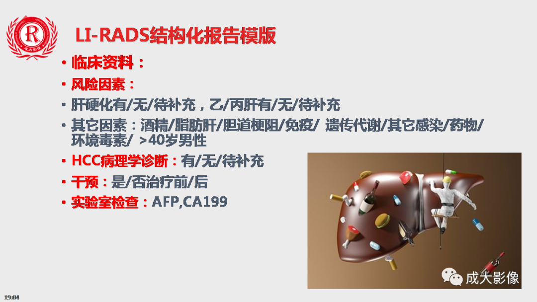 【PPT】LI-RADS结构化报告实例应用-8