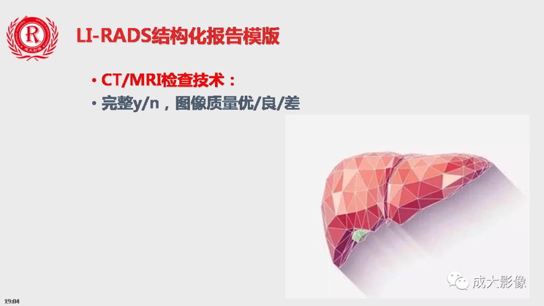 【PPT】LI-RADS结构化报告实例应用-9