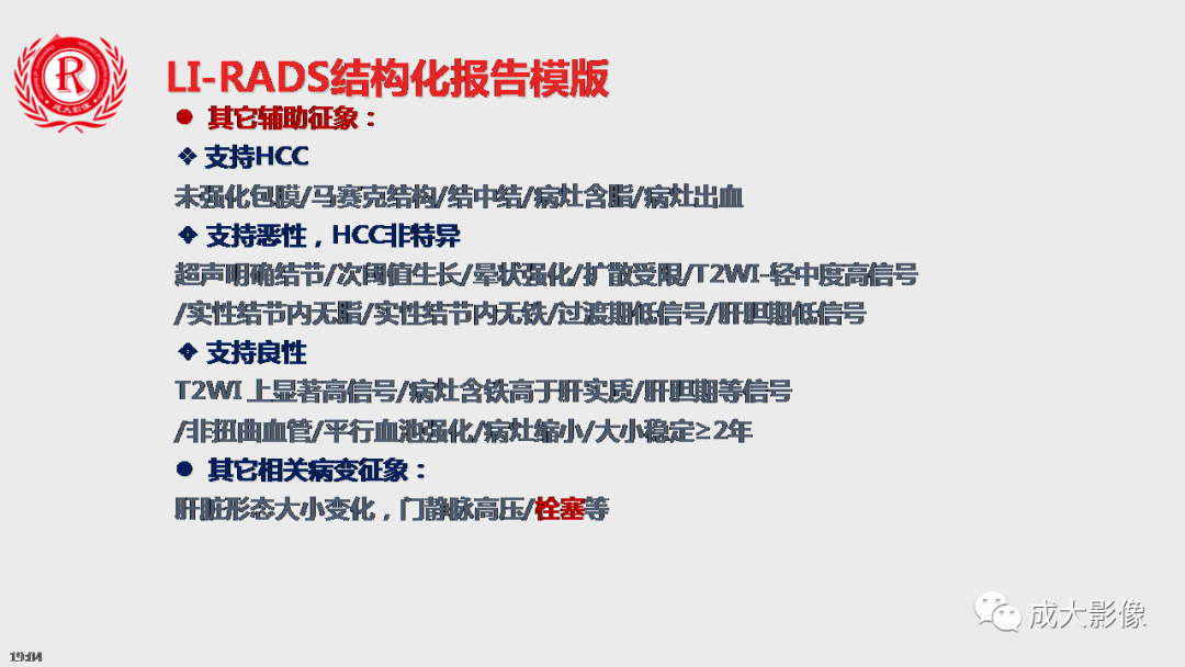 【PPT】LI-RADS结构化报告实例应用-13