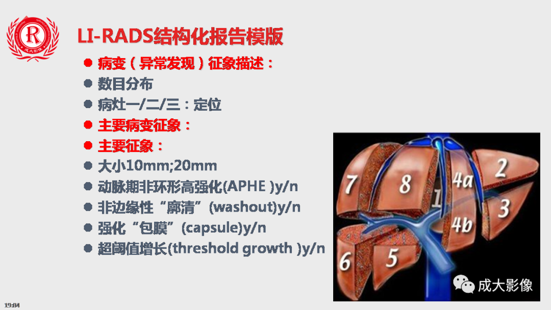 【PPT】LI-RADS结构化报告实例应用-11