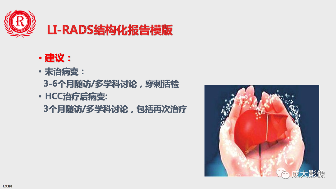 【PPT】LI-RADS结构化报告实例应用-15