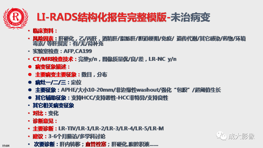 【PPT】LI-RADS结构化报告实例应用-16