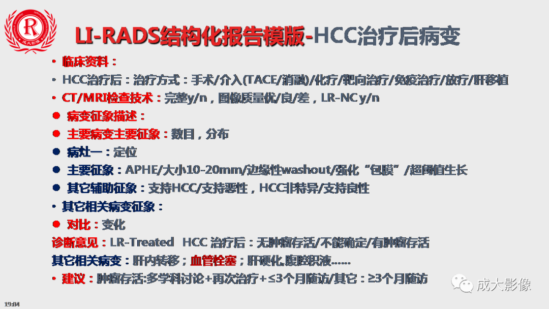 【PPT】LI-RADS结构化报告实例应用-17
