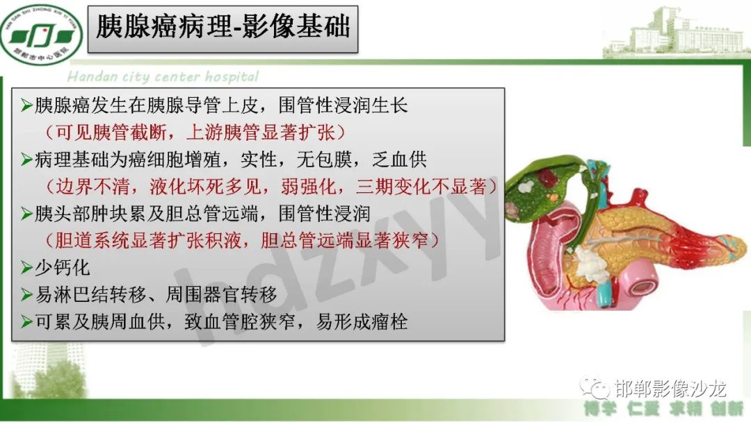 【PPT】肿块性胰腺炎-26