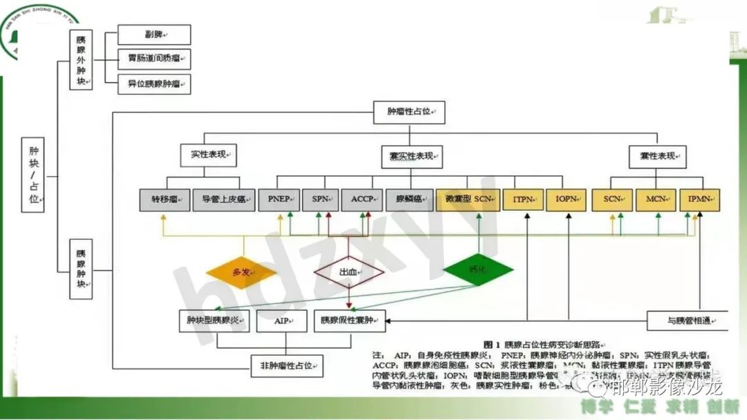 【PPT】肿块性胰腺炎-34