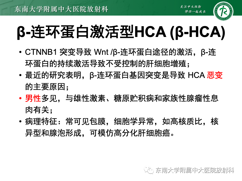 【PPT】肝细胞腺瘤-2