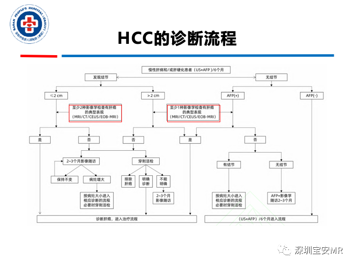 【PPT】原发性肝癌影像检查-31