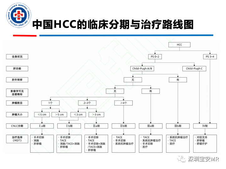 【PPT】原发性肝癌影像检查-32