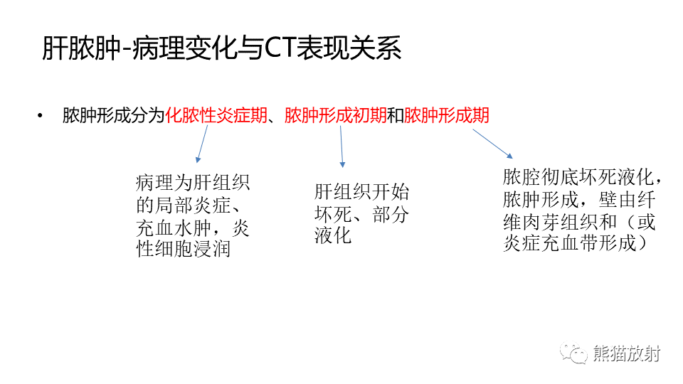 【PPT】肝内胆管细胞癌 VS 肝脓肿-32